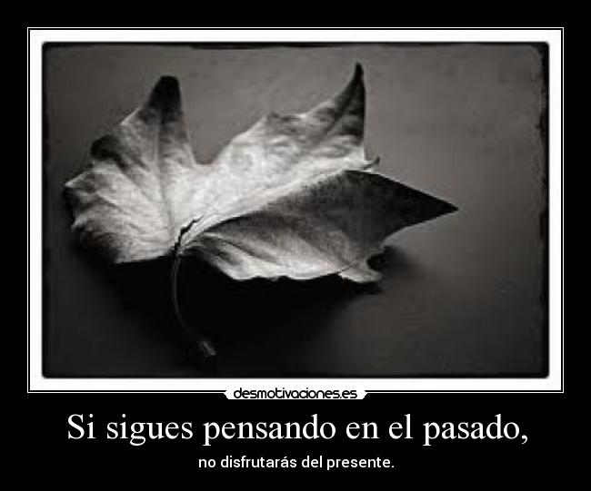 carteles pasado danidanidas desmotivaciones