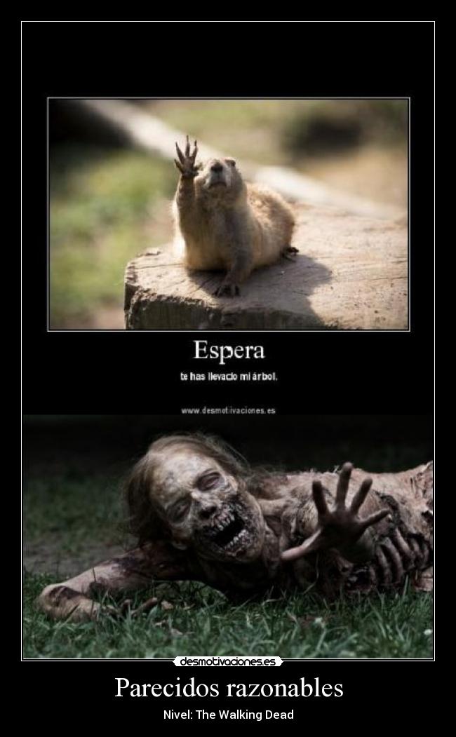 Parecidos razonables - Nivel: The Walking Dead