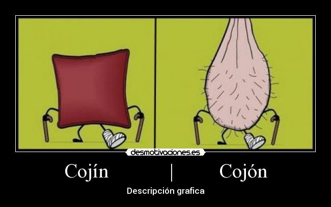Cojín | Cojón - Descripción grafica