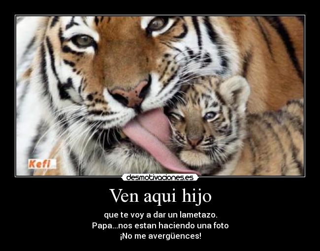 Ven aqui hijo - que te voy a dar un lametazo.
Papa...nos estan haciendo una foto
¡No me avergüences!