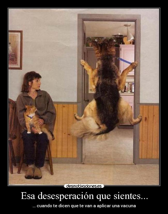 carteles miedo desmotivaciones