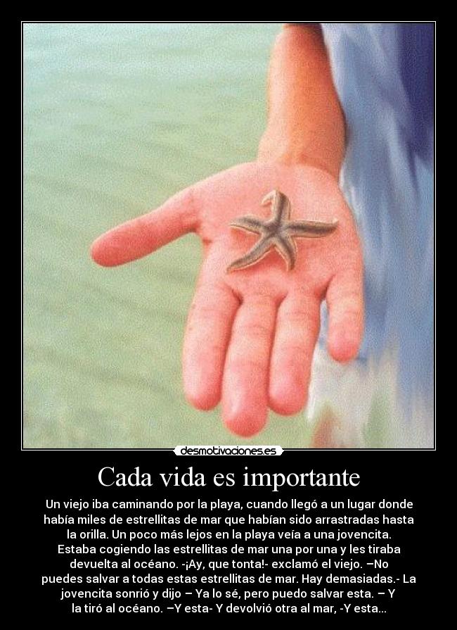 carteles vida vida estrella mar desmotivaciones