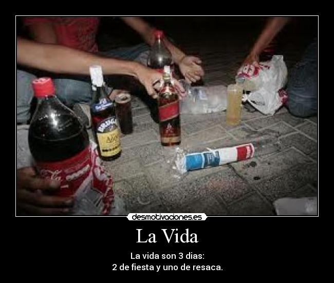 La Vida - La vida son 3 dias:
2 de fiesta y uno de resaca.