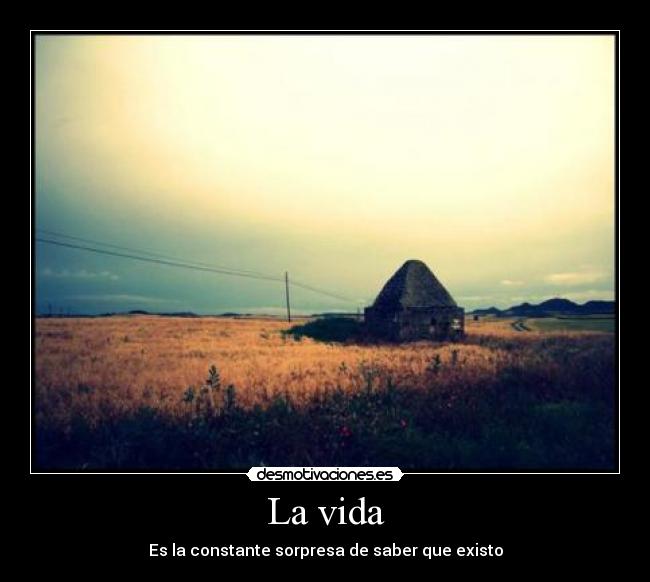 La vida - 