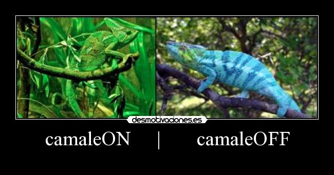 carteles camaleon camaleoff desmotivaciones