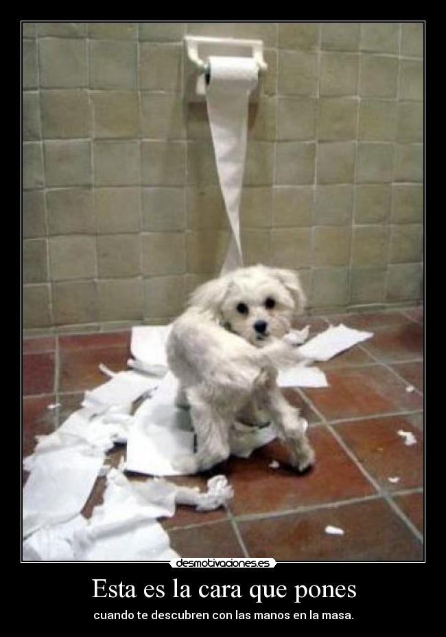 Esta es la cara que pones -