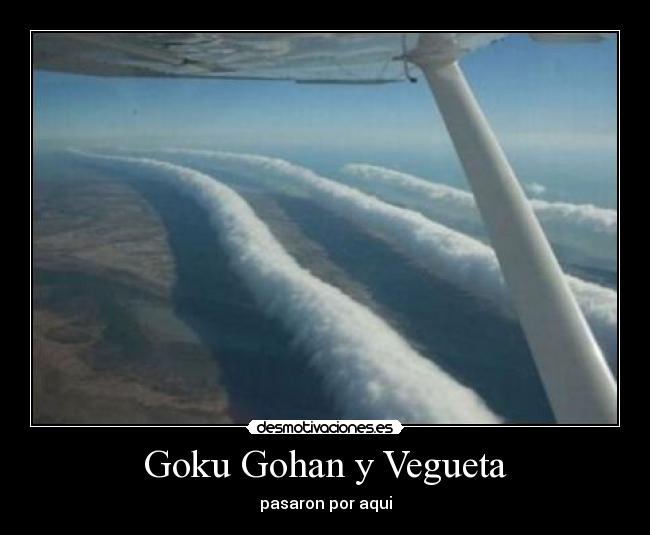 Goku Gohan y Vegueta -