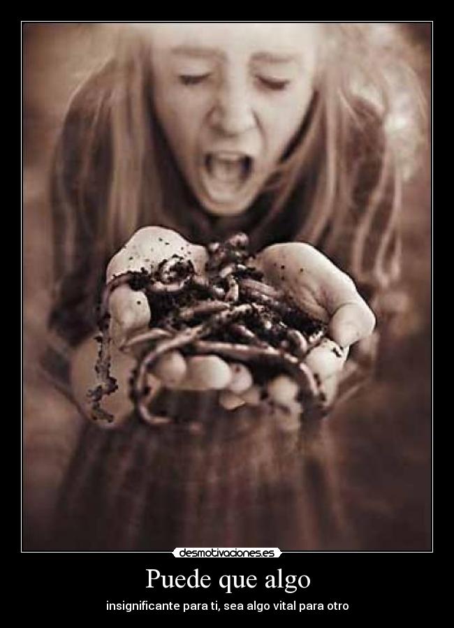 carteles elalienveloz intruders crazyclub gusanos cosas importantes desmotivaciones