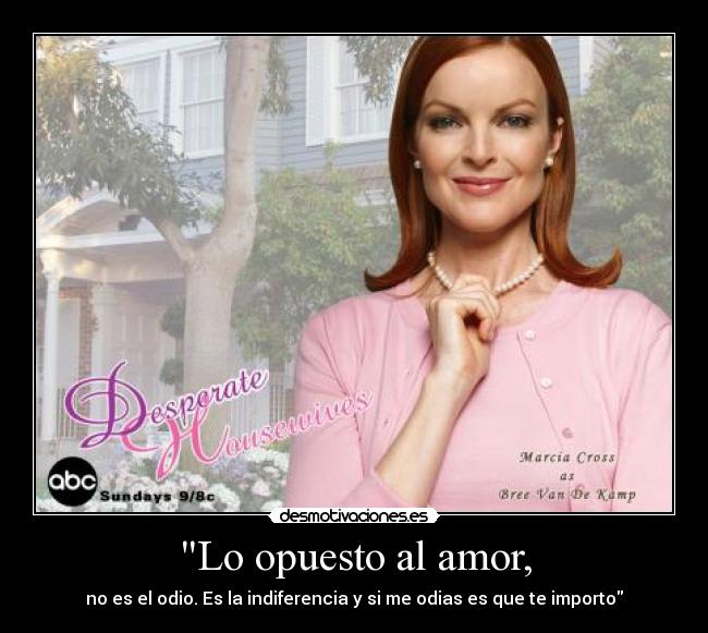 Lo opuesto al amor, - no es el odio. Es la indiferencia y si me odias es que te importo