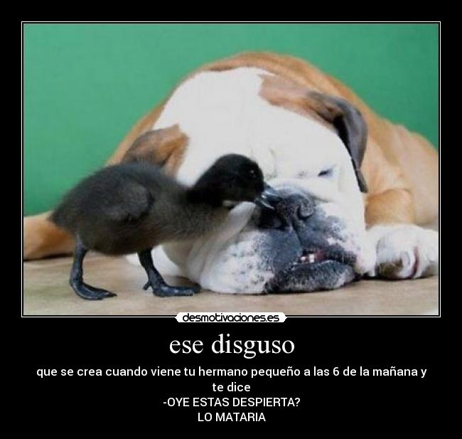 ese disguso - que se crea cuando viene tu hermano pequeño a las 6 de la mañana y te dice
-OYE ESTAS DESPIERTA?
LO MATARIA