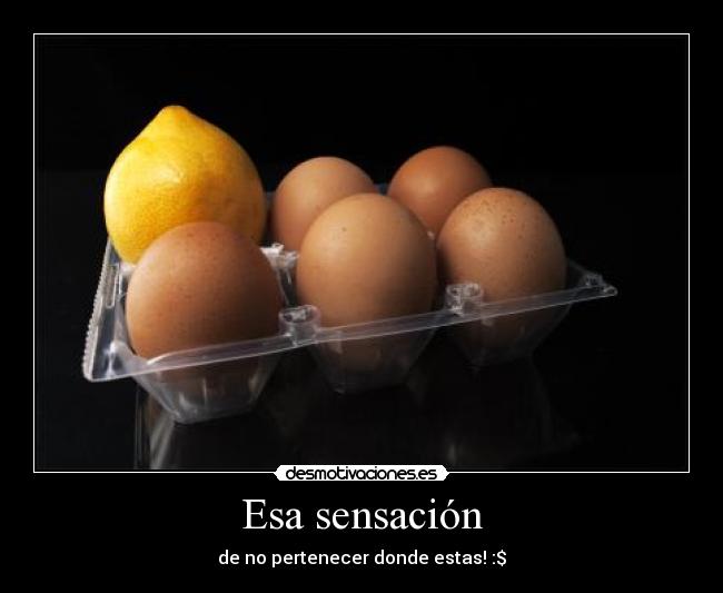 Esa sensación - de no pertenecer donde estas! :$