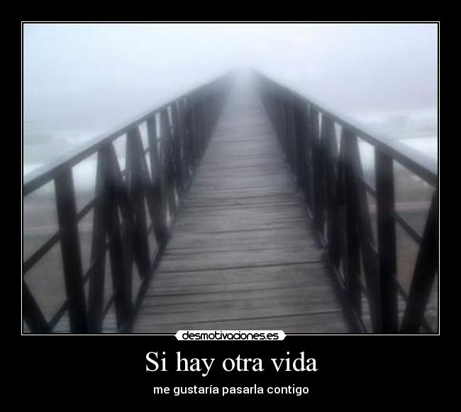 Si hay otra vida -