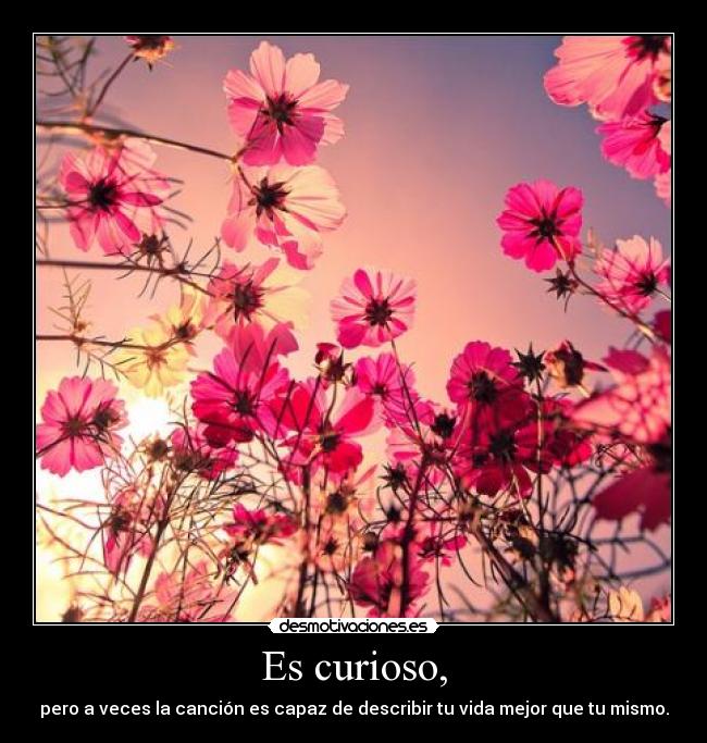 Es curioso, - 