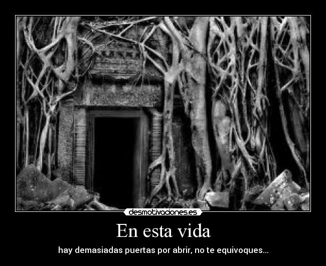 carteles vida puerta arbol desmotivaciones