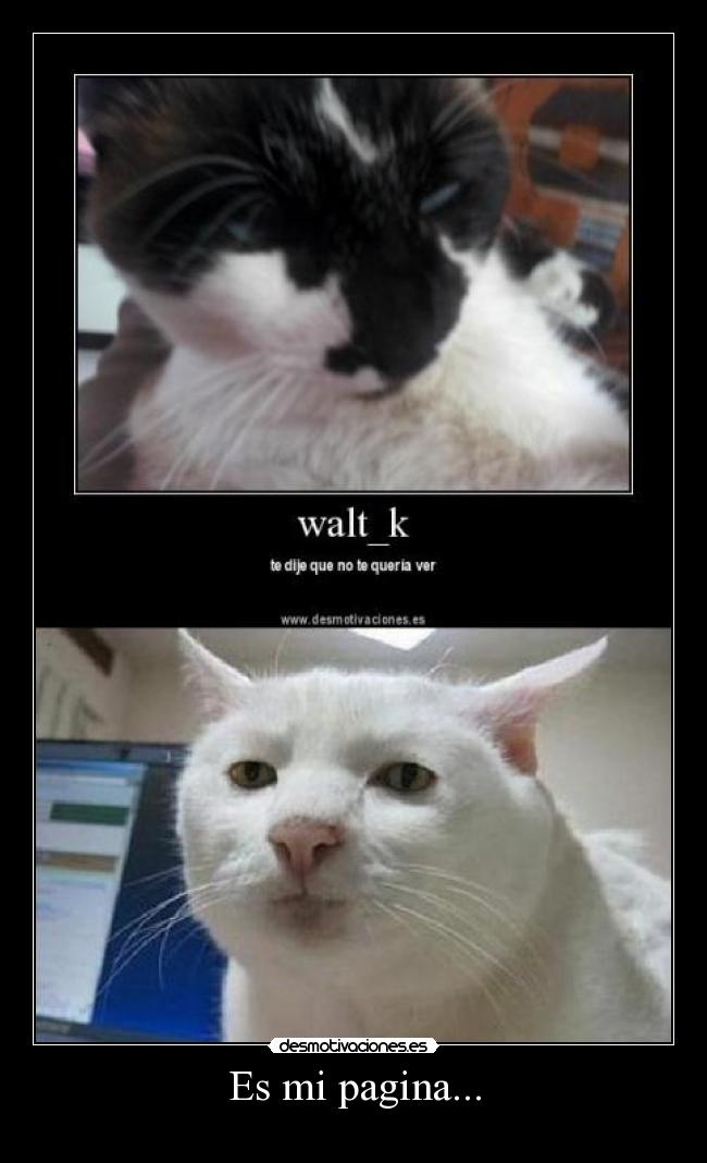 Es mi pagina... - 