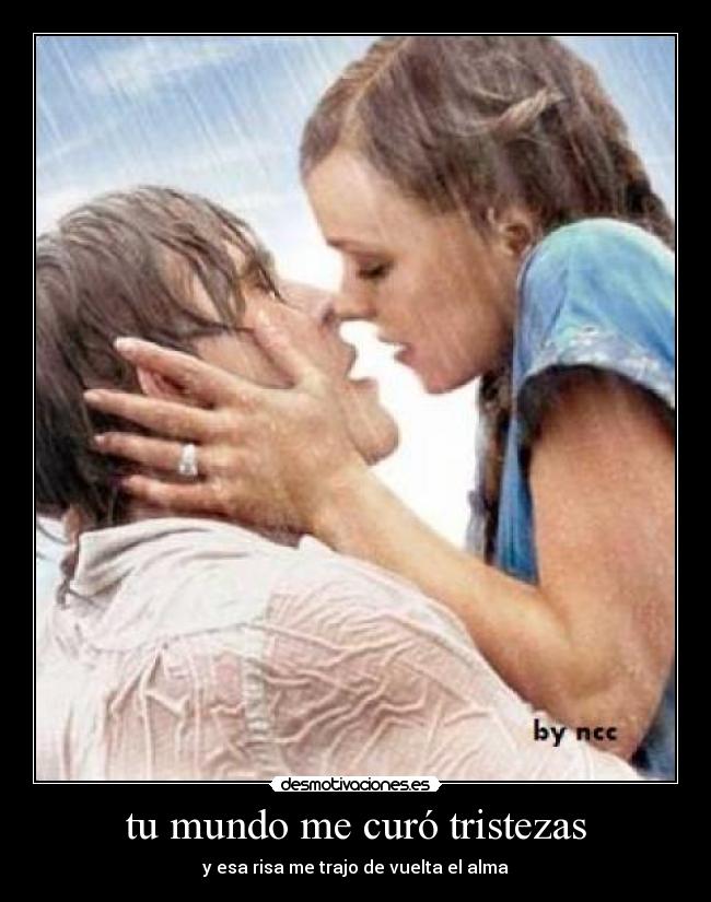 carteles mundo the notebook desmotivaciones