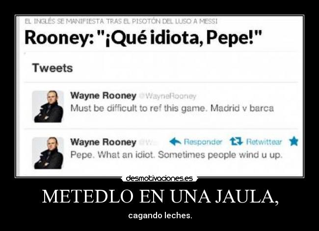 METEDLO EN UNA JAULA, -