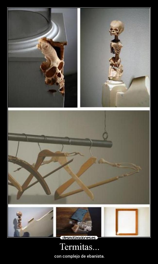Termitas... - con complejo de ebanista.