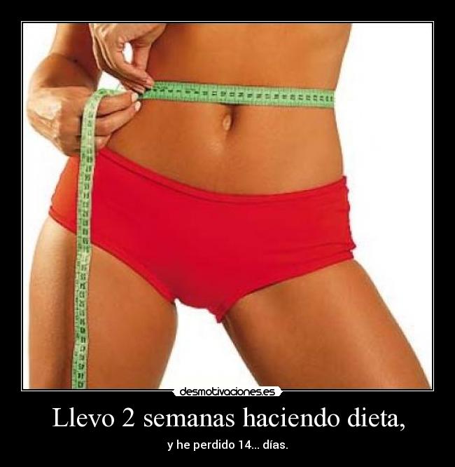 Llevo 2 semanas haciendo dieta, - y he perdido 14... días.