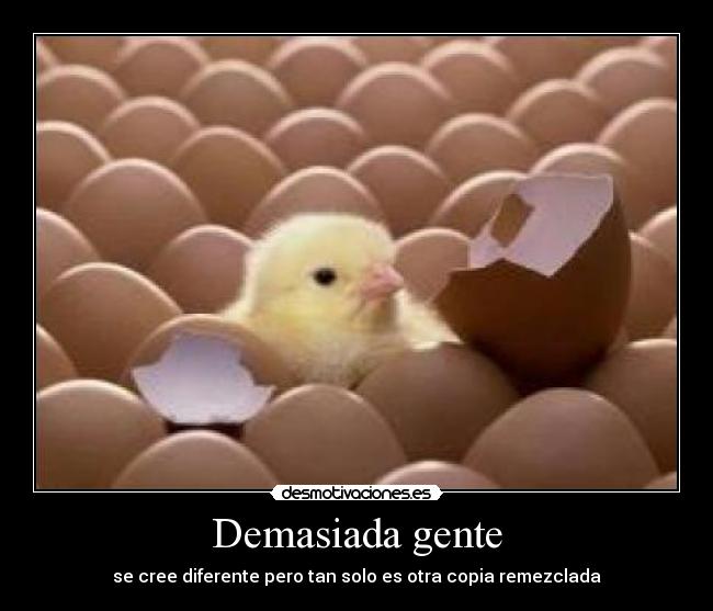 carteles gente diferente copia remezclada desmotivaciones