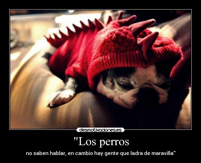 Los perros - 