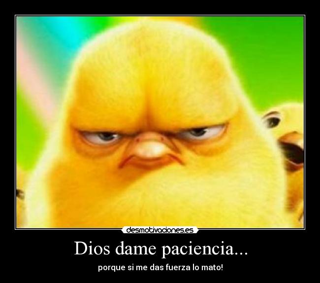 Dios dame paciencia... - 