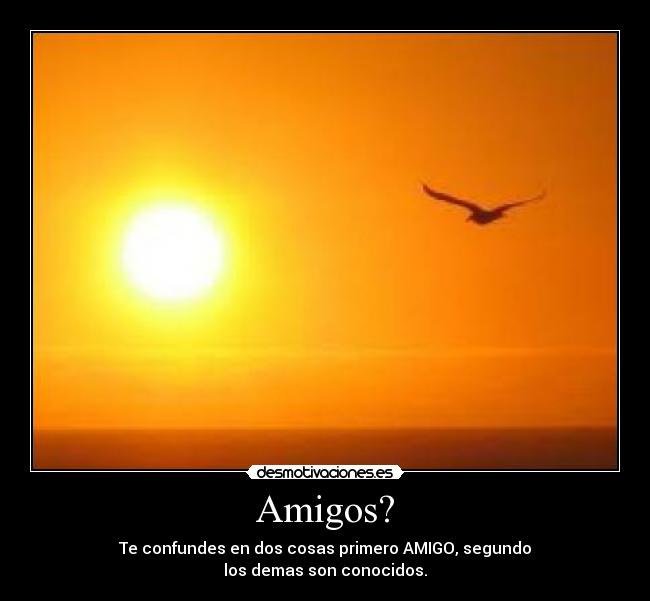 Amigos? - 