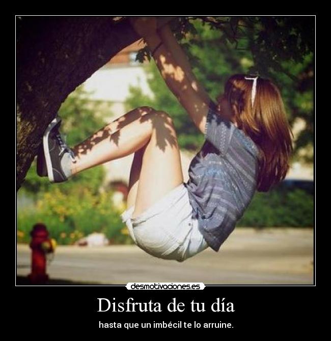 Disfruta de tu día - hasta que un imbécil te lo arruine.