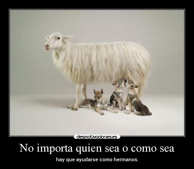 No importa quien sea o como sea - 