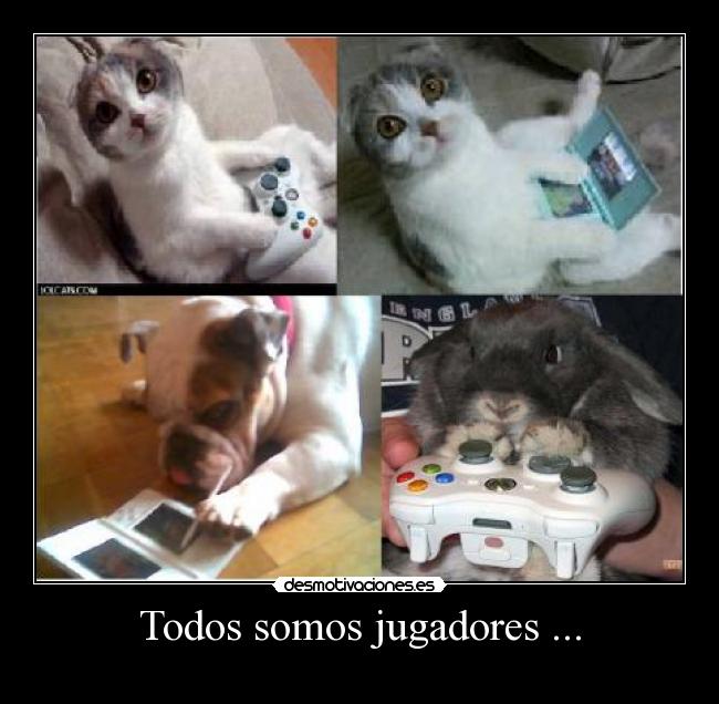 Todos somos jugadores ... -