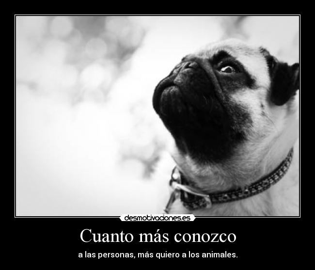 Cuanto más conozco - 