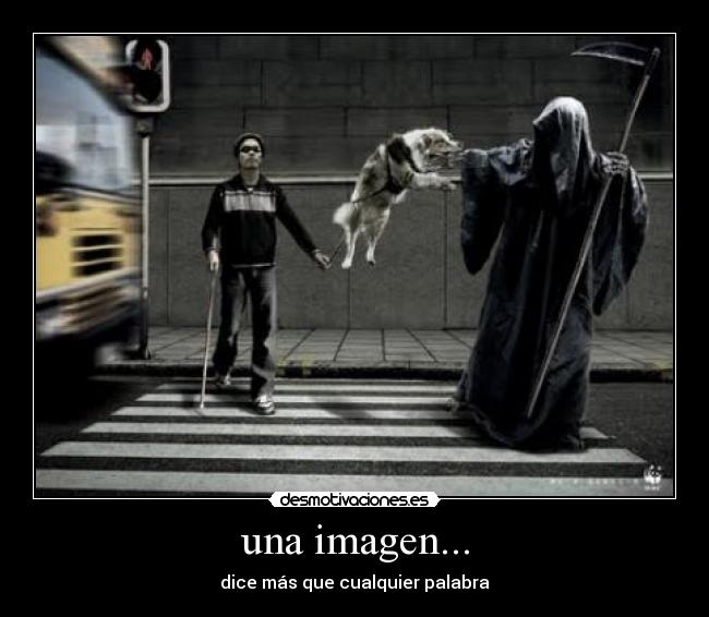 una imagen... - 