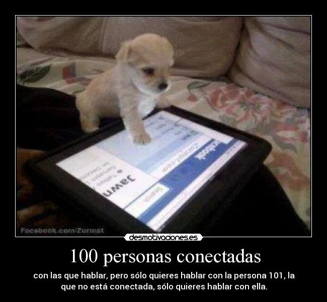 100 personas conectadas - 