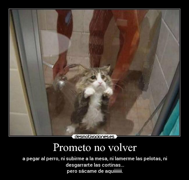 Prometo no volver - 