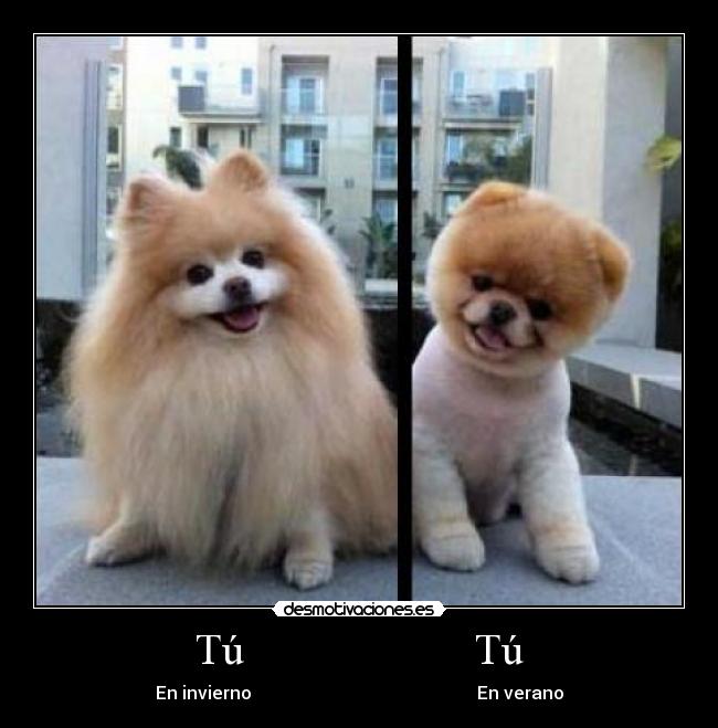 Tú                     Tú - 