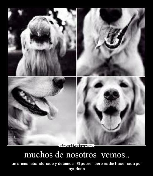 carteles angeva desmotivaciones