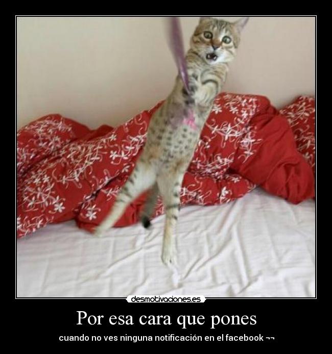 Por esa cara que pones - 