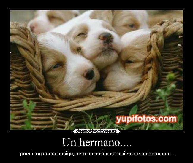 Un hermano.... - 