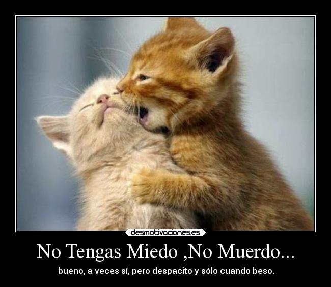 No Tengas Miedo ,No Muerdo... -