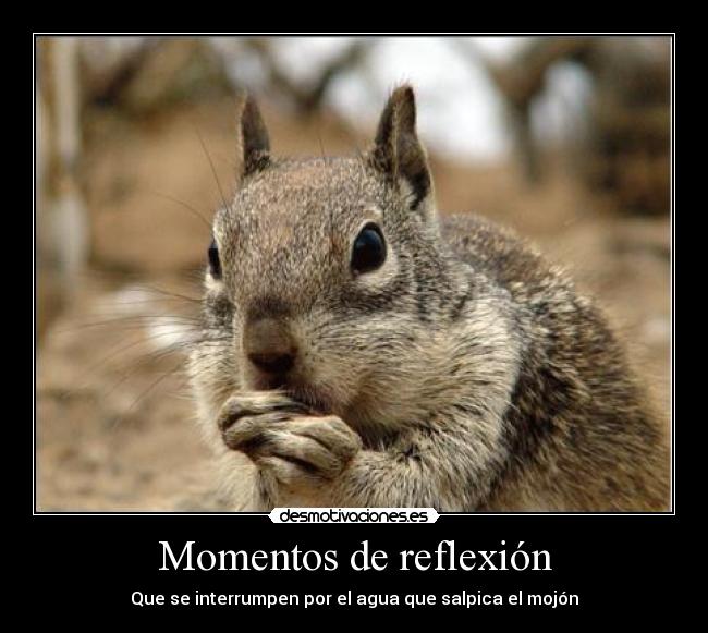 Momentos de reflexión -