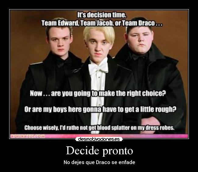 carteles harry potter team draco desmotivaciones