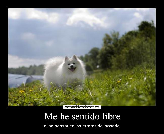 Me he sentido libre -
