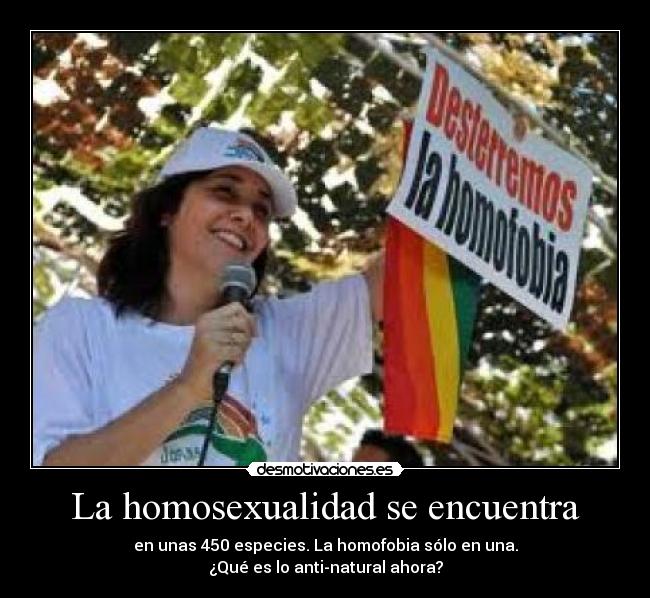 La homosexualidad se encuentra - en unas 450 especies. La homofobia sólo en una.
¿Qué es lo anti-natural ahora?