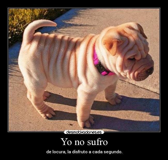 Yo no sufro - 