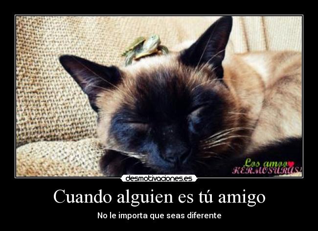 Cuando alguien es tú amigo - 
