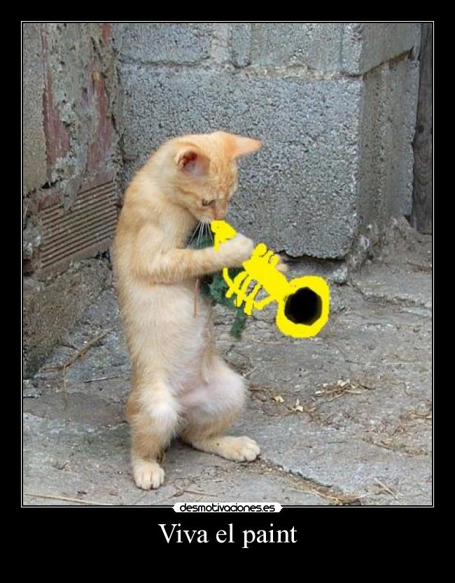 Viva el paint - 