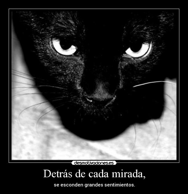 Detrás de cada mirada, - se esconden grandes sentimientos.