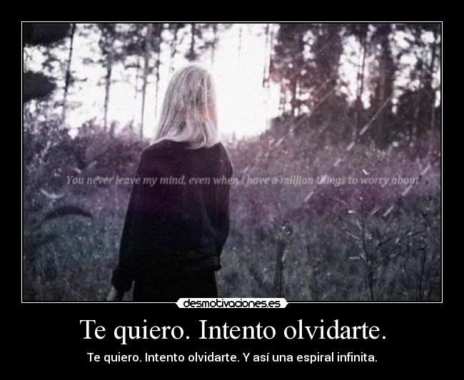 Te quiero. Intento olvidarte. -