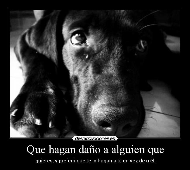 carteles prefiero mil veces desmotivaciones