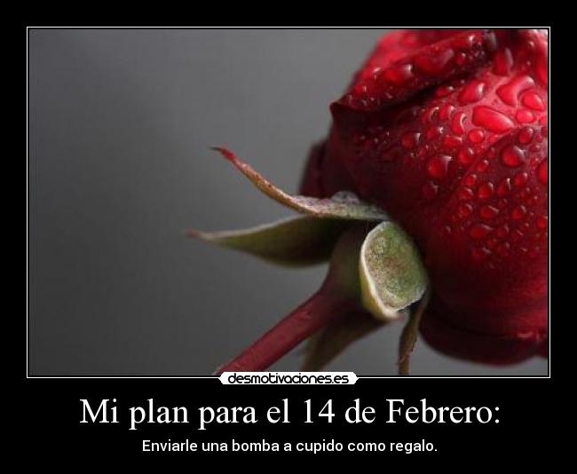 Mi plan para el 14 de Febrero: -